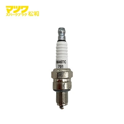 Motorcraft neisti
